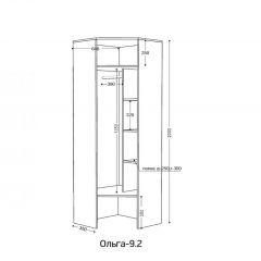 ОЛЬГА 9.2 Шкаф угловой с зеркалом | фото 2