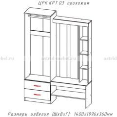 КРИТ-3 Прихожая (Анкор темный/Анкор белый) | фото 2